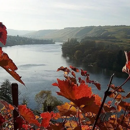 Moderne, Helle Und Gemütliche Koblenz (Rhineland-Palatinate)
